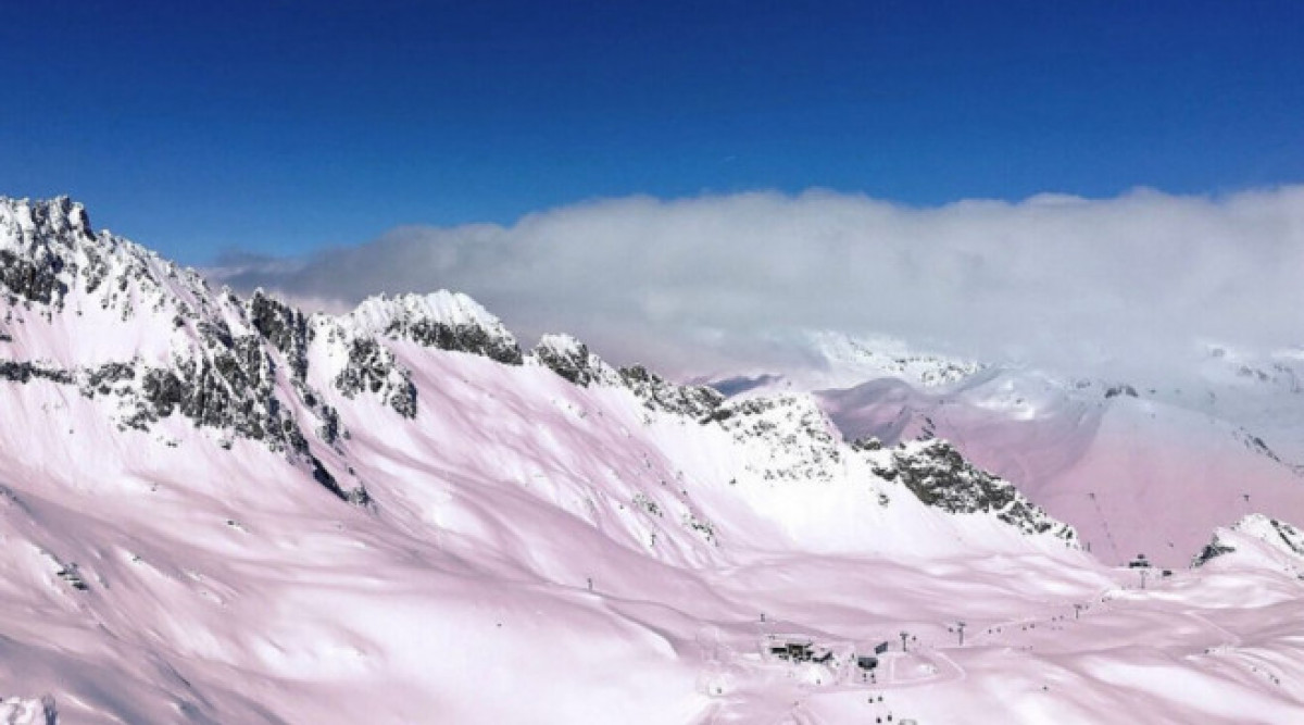 Розов лед, забелязан в алпийски глетчер, може да е признак за ускорено топене на ледовете