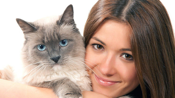 Очаква се появата на генетично модифицирани котки, които не предизвикват алергия