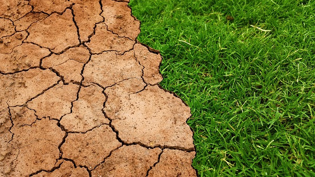 Поради изменението на климата, на Земята вече се наблюдава дефицит на азот
