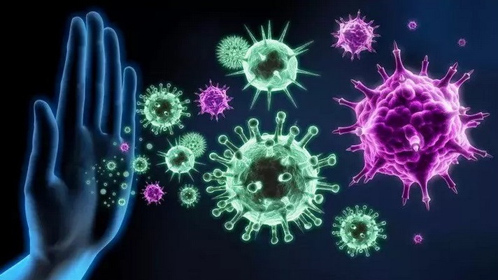 Как клетките на имунната система на човека защитават тялото от инфекции