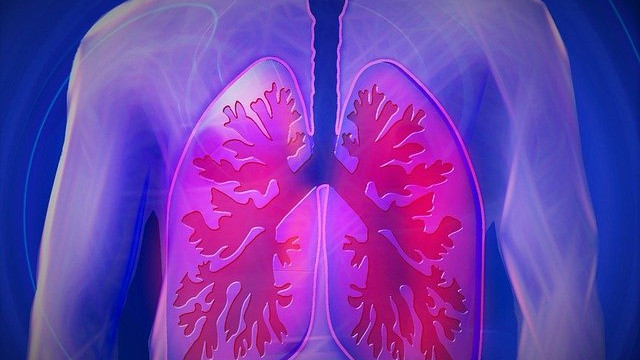 Дишането  ни показва колко години ще живеем