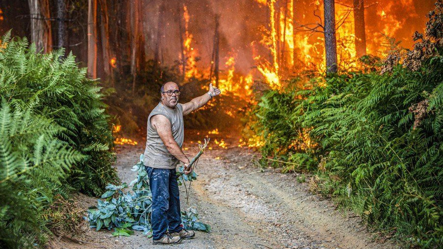 Горещините в Европа предизвикаха вълна от горски пожари