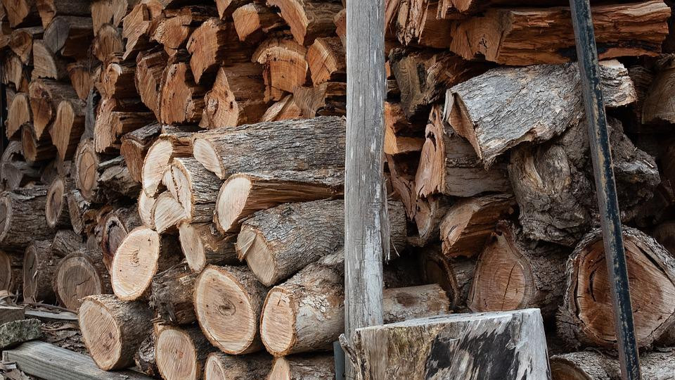 Държавните горски предприятия увеличиха приходите си с близо 35 млн. лв.