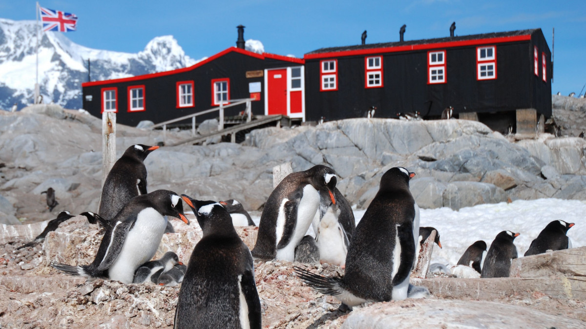 Четири британки ще обслужват най-отдалечената поща в света в Антарктида