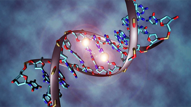 Изкуствена ДНК за унищожаване на рака е създадена в Япония