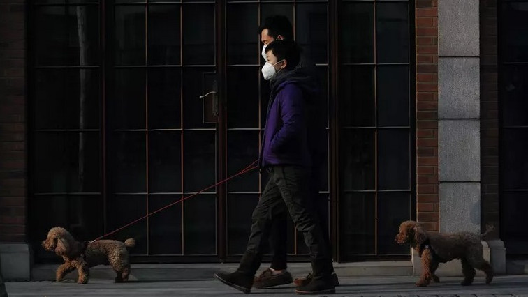 Официално: по половин милион души на ден се заразяват от COVID в китайски град