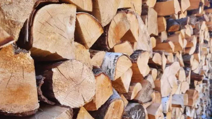 Раздават на французите купони за дърва за огрев