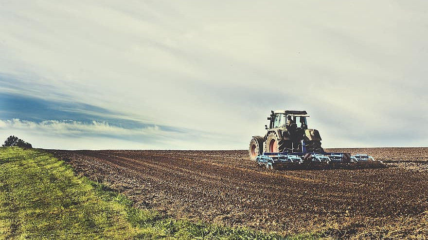 Продукцията от отрасъл „Селско стопанство“ през 2022 г. е близо 13 млн. лв.