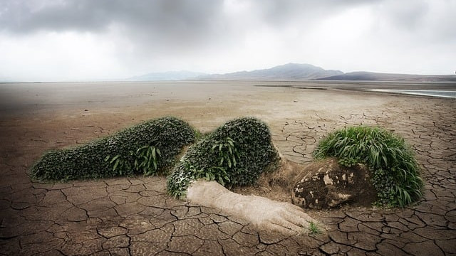 Тунберг: „Абсурдно“ е да слушаме в Давос отговорните за „унищожаването на планетата“