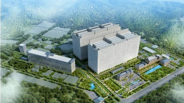 В Китай е изграден най-големият и високотехнологичен многоетажен свинекомплекс в света