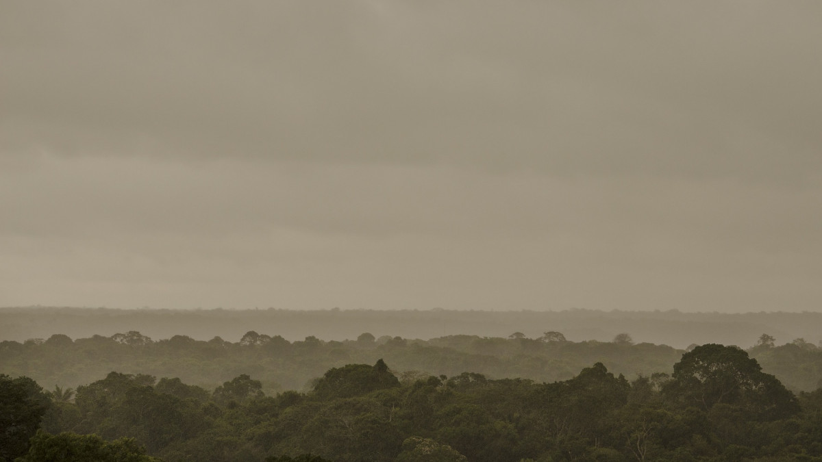 Рекордно обезлесяване в бразилската Амазонка