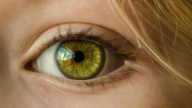 Учени разкриха кое е веществото, което се бори със загубата на зрение