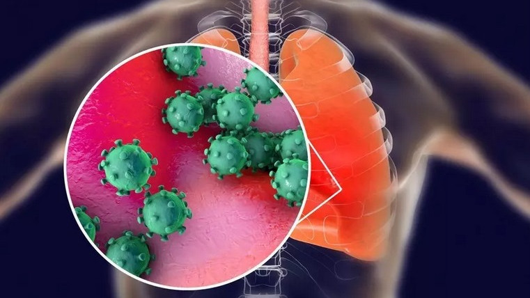 Учени откриха "ключ" за лечение на рак на белия дроб в древен вирус
