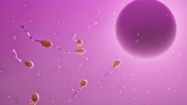 Забраниха на бащата на 550 деца да дарява сперма