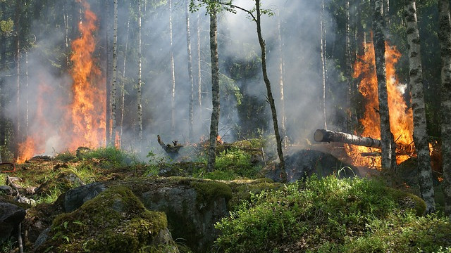 Първият за годината природен пожар бушува във френските Пиренеи