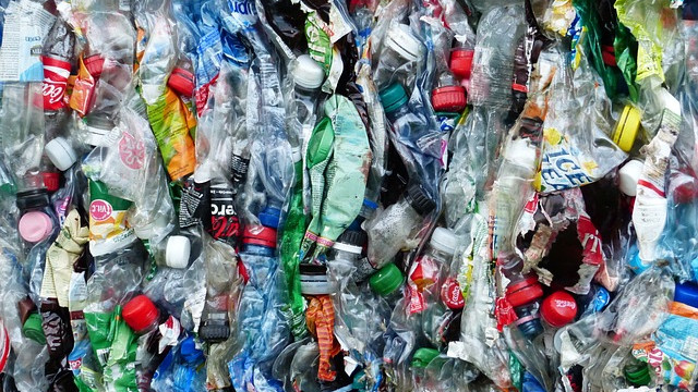 На Олимпиадата в Париж ще забранят пластмасовите изделия за еднократна употреба