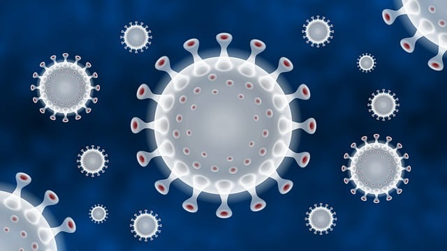 JCI: Повечето от смъртните случаи в пандемията от COVID-19 са от различна инфекция