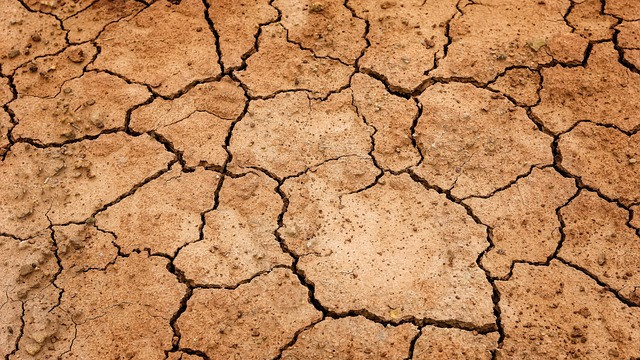 Португалия моли Европейския съюз за помощ заради тежката суша