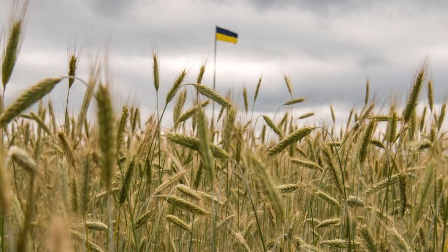 Европейската комисия ще удължи забраната за внос на земеделски продукти от Украйна