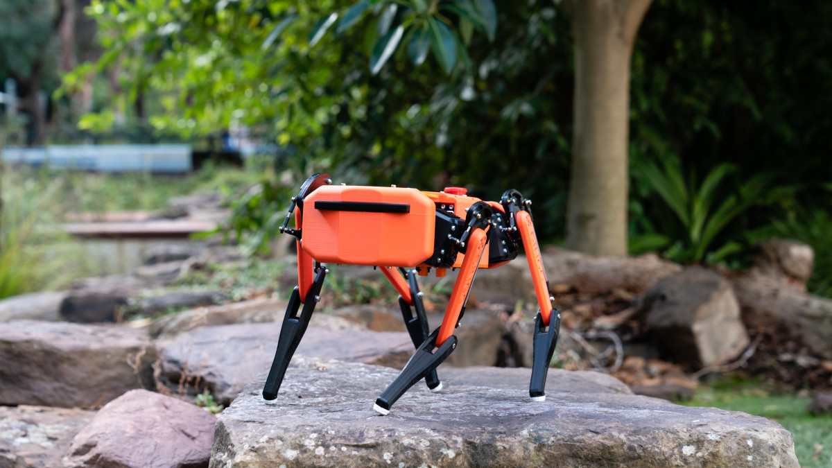 Изобретиха аналог на робота-куче Boston Dynamics с цена 50 пъти по-ниска от оригинала