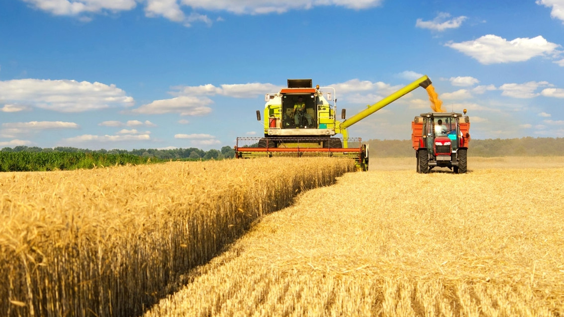 Русия е изнесла рекорден обем пшеница през селскостопанската 2022-2023 година