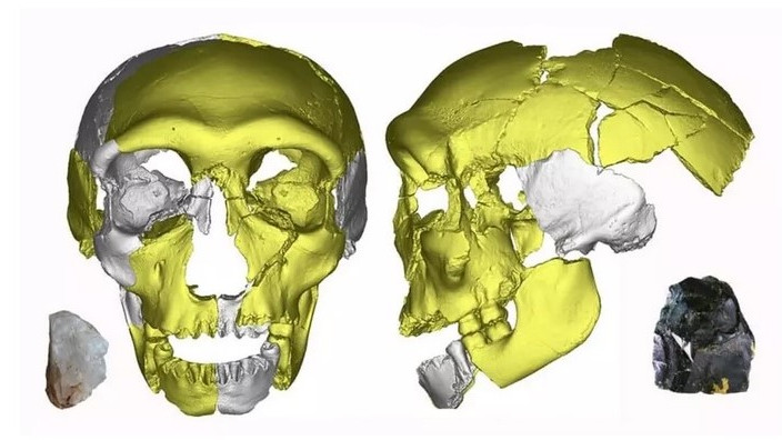 В Китай учени откриха останки от череп за който се