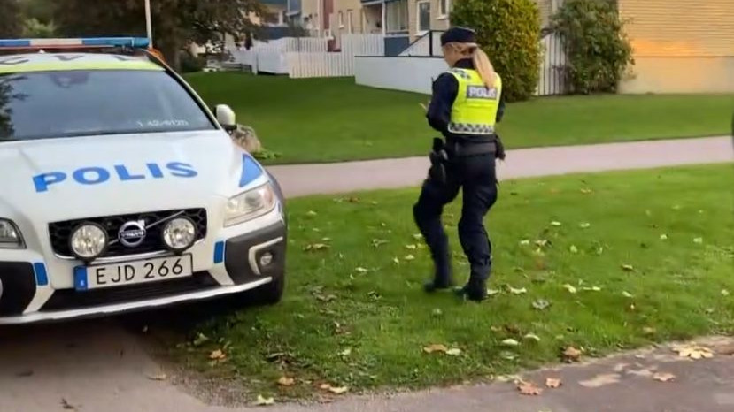 Шведският премиер Улф Кристерсон обеща да победи престъпните банди на
