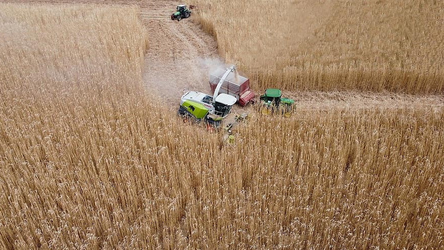 Снимка: В Украйна предрекоха вълна от фалити на земеделски производители