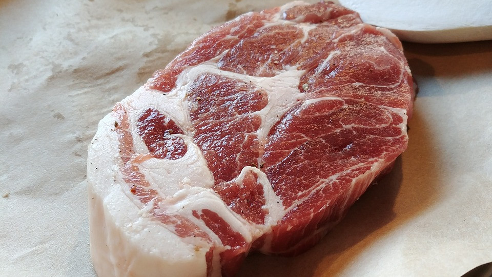 Италия забрани изкуственото месо