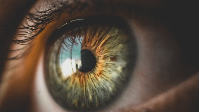 Илон Мъск съобщи за имплант, който може да възстановява зрението