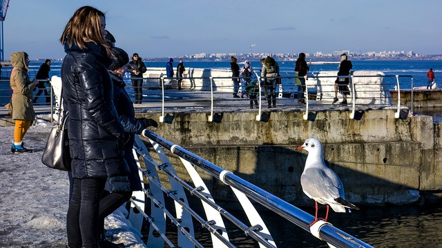 Мъск: Последният въпрос в украинския конфликт е - Дали Русия ще вземе Одеса