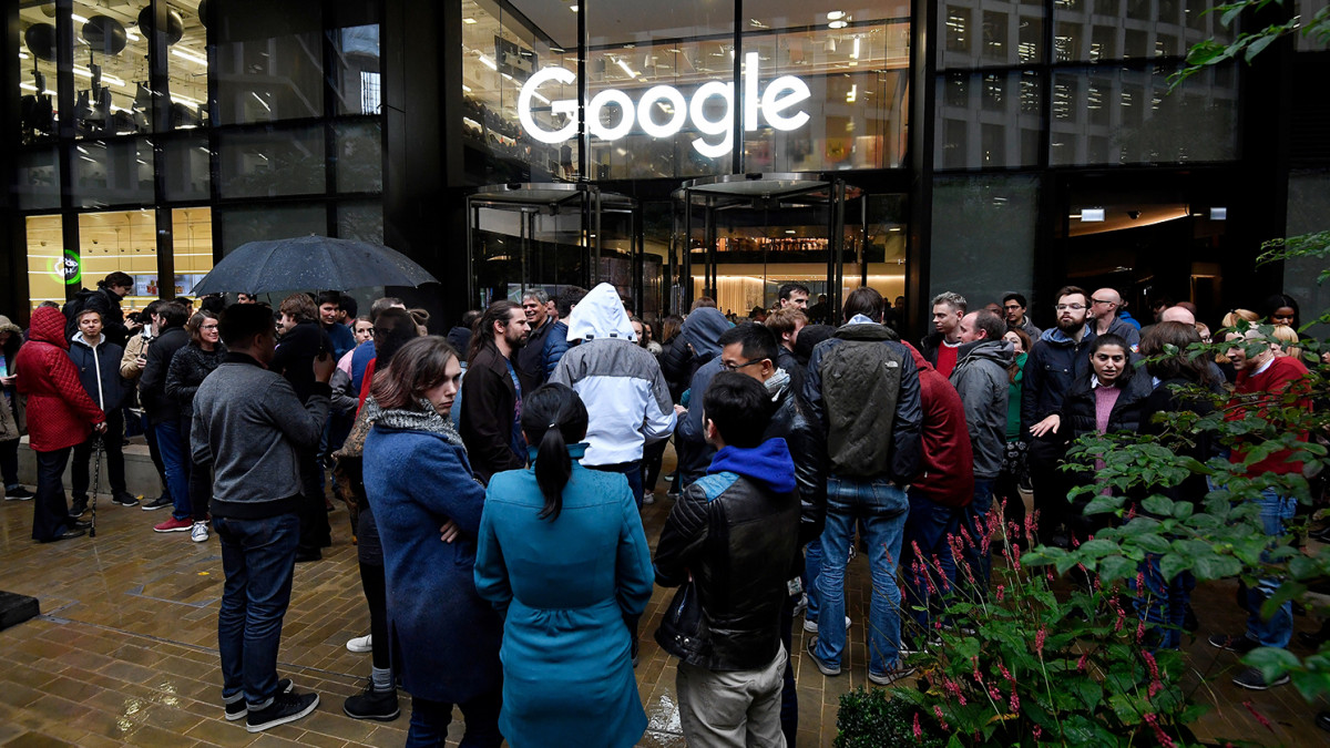 Дървеници превзеха офис на Google, служителите са изпратени да работят от вкъщи