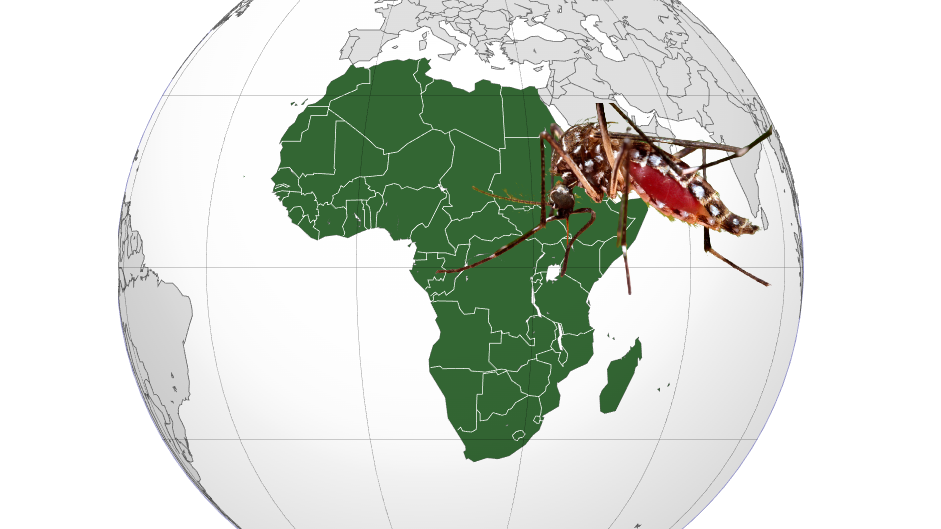 Африка закри водеща програма за борба с маларията