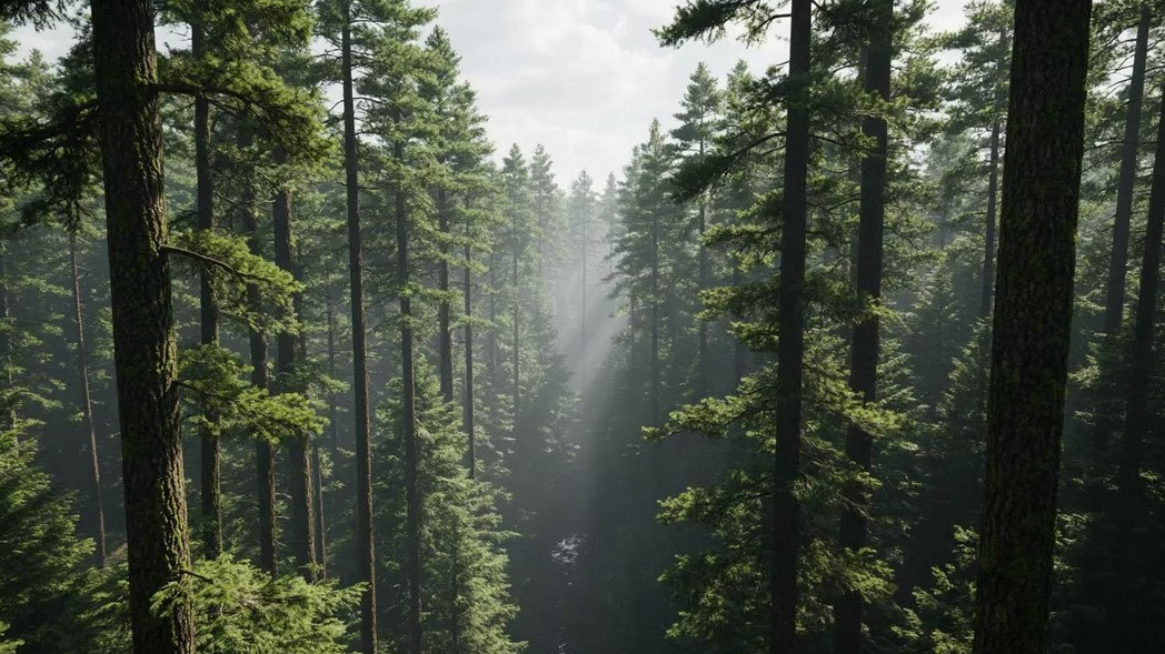 Климатът, парите и съдбата на планетата: защо светът отново се събра в Бразилия
