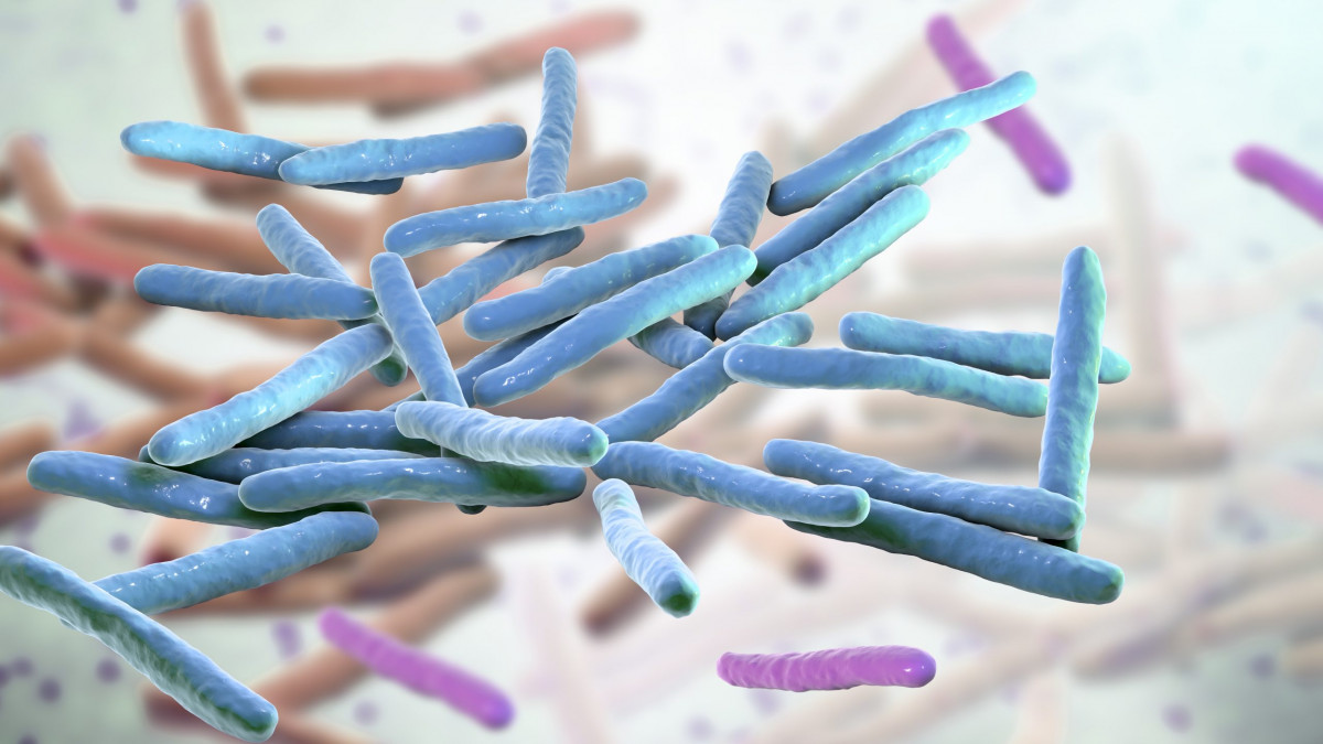 Потвърдиха случаи на проказа в Румъния и Хърватия