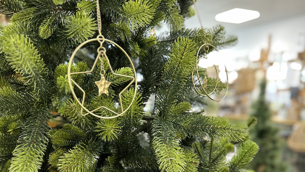 3D и шоколад: Световната мода при коледните дръвчета