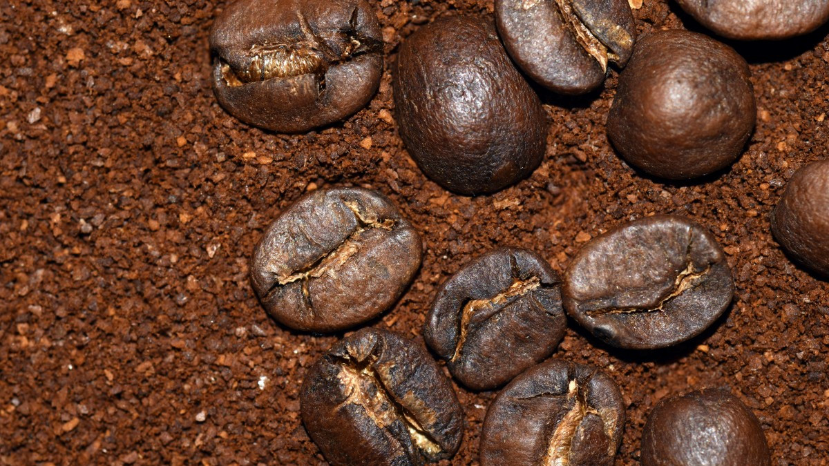 Световните цени на какаовите зърна рязко се понижиха