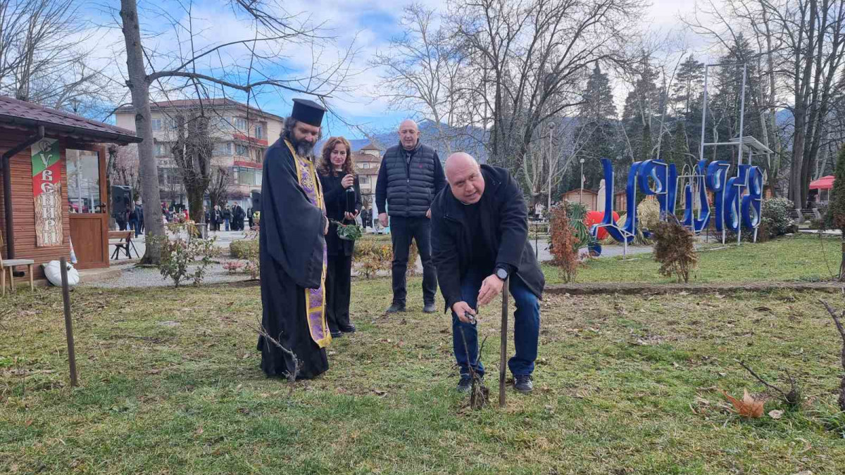 Вършец празнува живота и гроздето: Трифон Зарезан оживя в духа на традицията