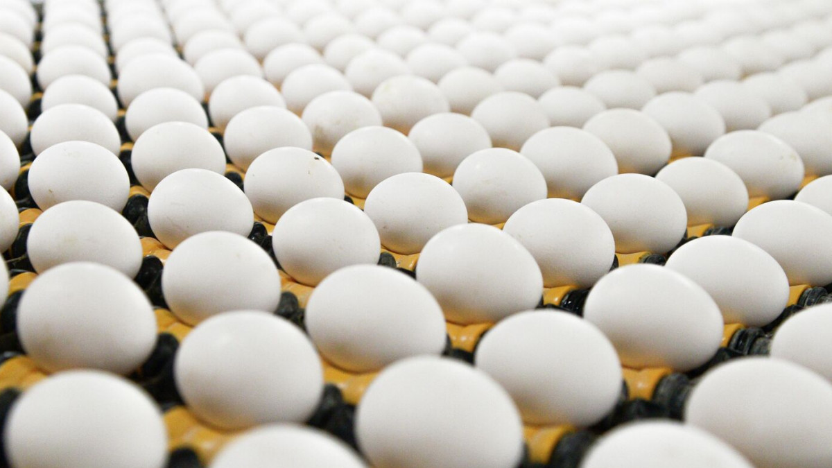 В Германия съобщиха за наличие на следи от антибиотици в яйца от Украйна