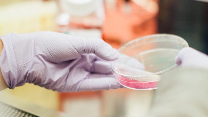 FDA разрешава нов тест, определящ количеството на Covid-19 антитела