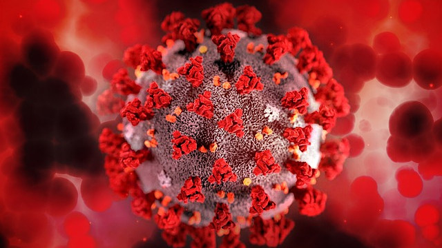 Разследването за произхода на коронавируса продължава с нов екип на СЗО