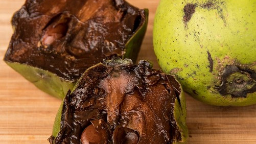 Плодовете на черния сапоте - натурален десерт с вкус на шоколадов пудинг