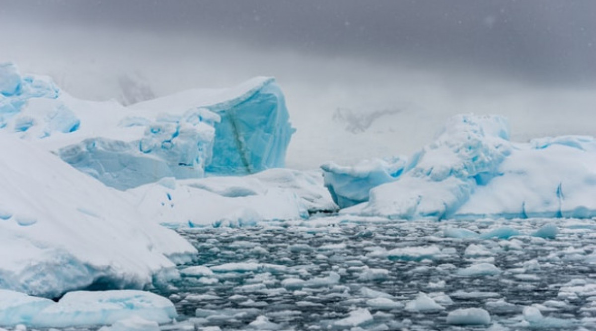 Промяната на климата озеленява части от Антарктида, твърдят учени
