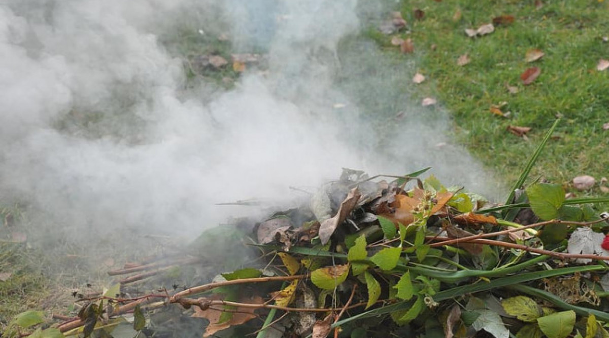 Димът от горящата шума срива защитата на белите дробове