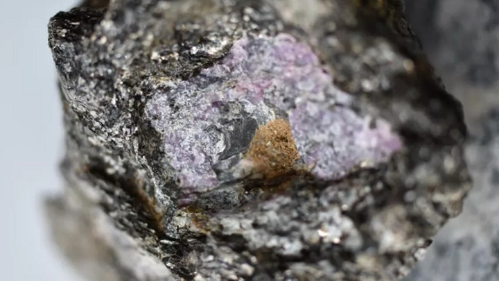 Откриха следи от древен живот в рубин на възраст 2,5 млн. години
