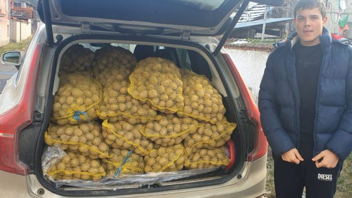 Фирми изкупуват български картофи и ги даряват
