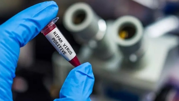 В Индия обявиха огнище на смъртоносния вирус нипа