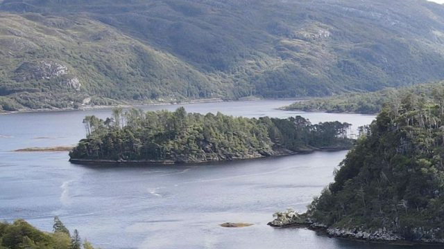 Искате ли ваш собствен замък на шотландски остров за $ 112 000