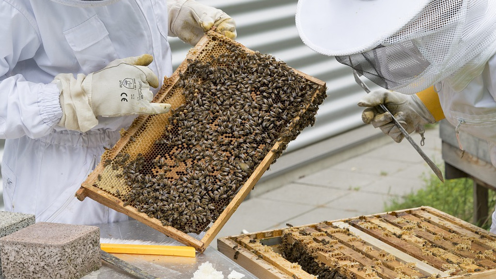 Нови субсидии се предвиждат за пчеларите след 2022 г.