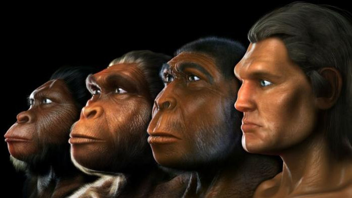 Учени дадоха име на нов вид древен човек - Homo bodoensis